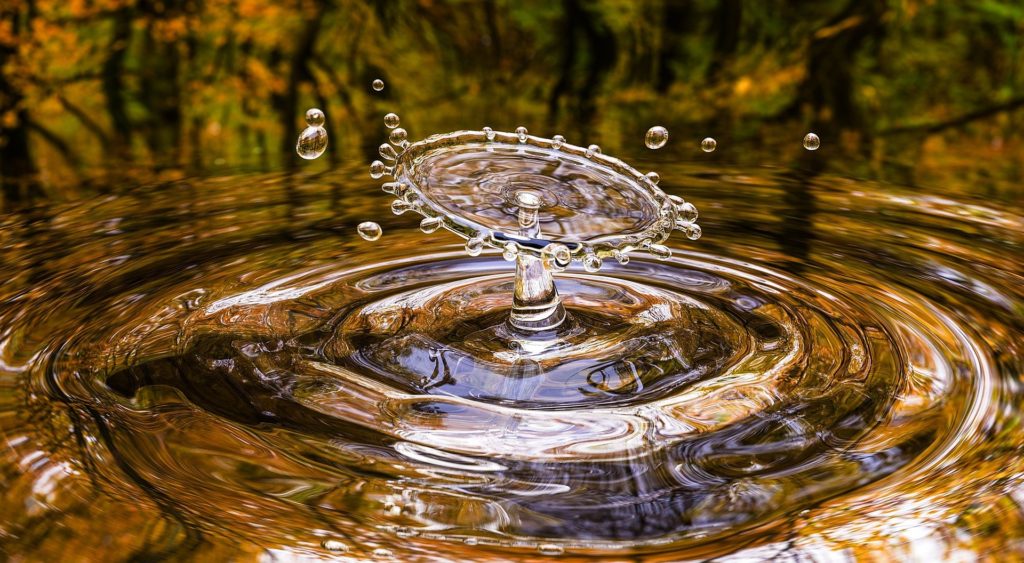 Die Natur bestimmt unser Leben