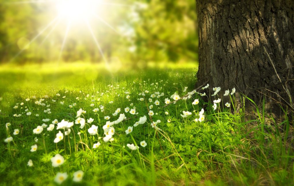Mensch und Natur