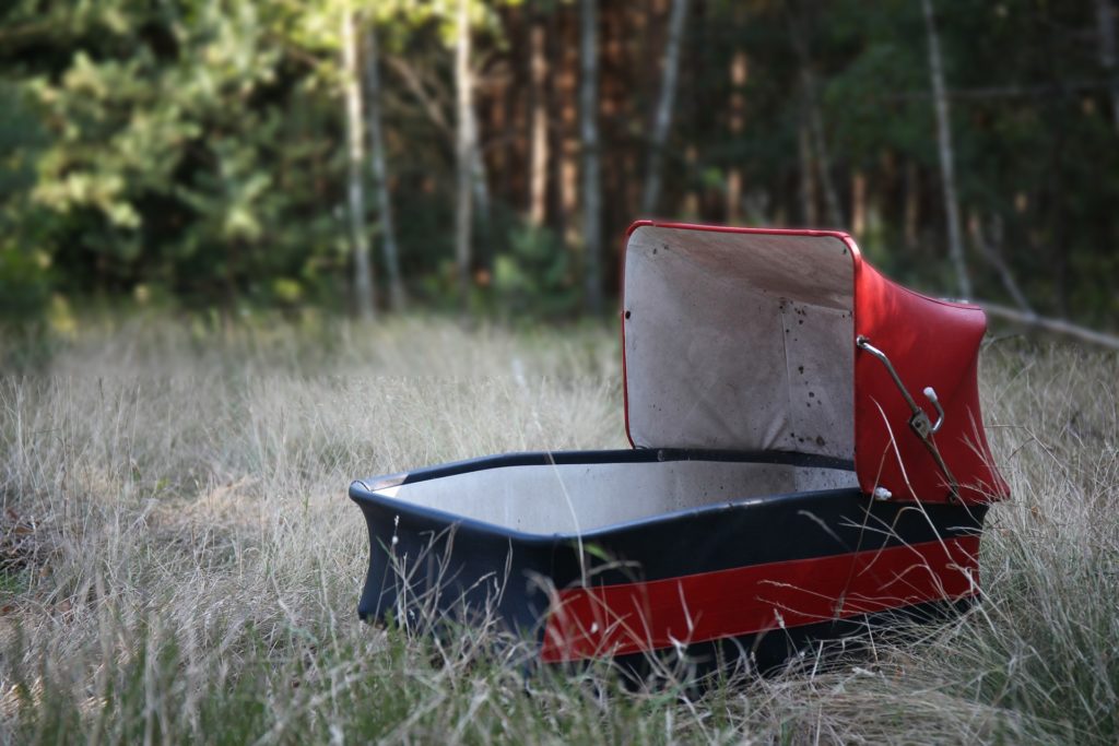 Peter Singer - Präferenzutilitarismus